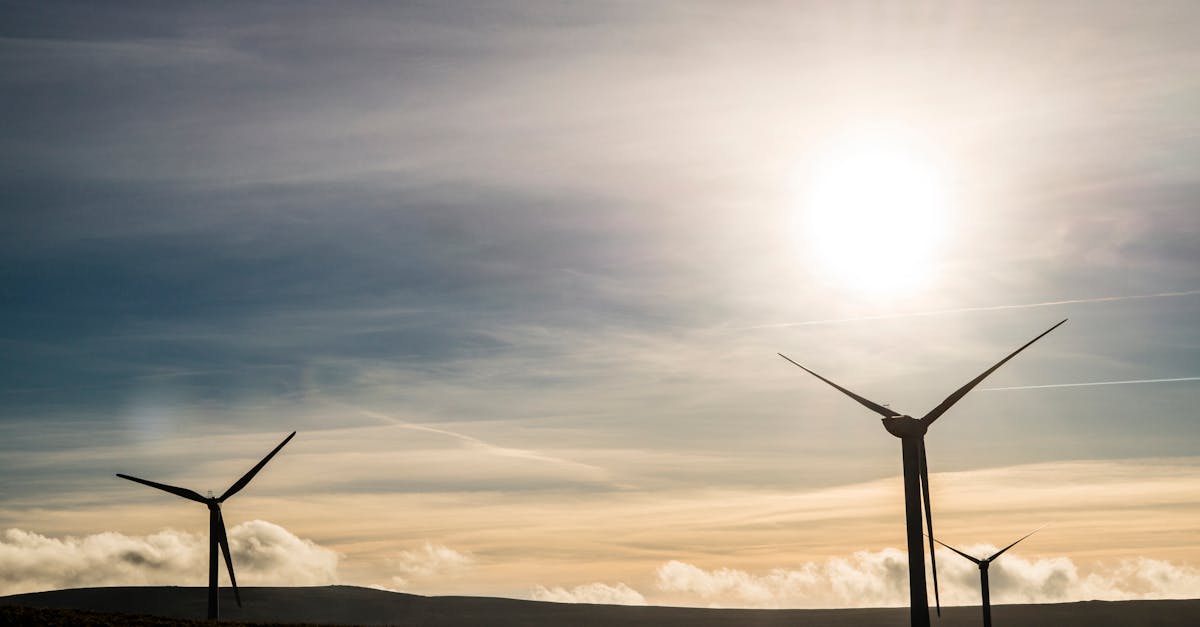 découvrez comment adopter un mode de vie durable grâce à des conseils, des astuces et des solutions écologiques pour préserver l'environnement tout en améliorant votre quotidien.