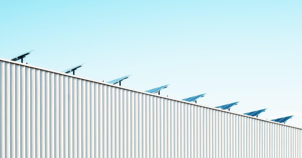 découvrez comment adopter des pratiques durables pour préserver l’environnement, réduire votre impact écologique et bâtir un avenir écoresponsable dès aujourd’hui.