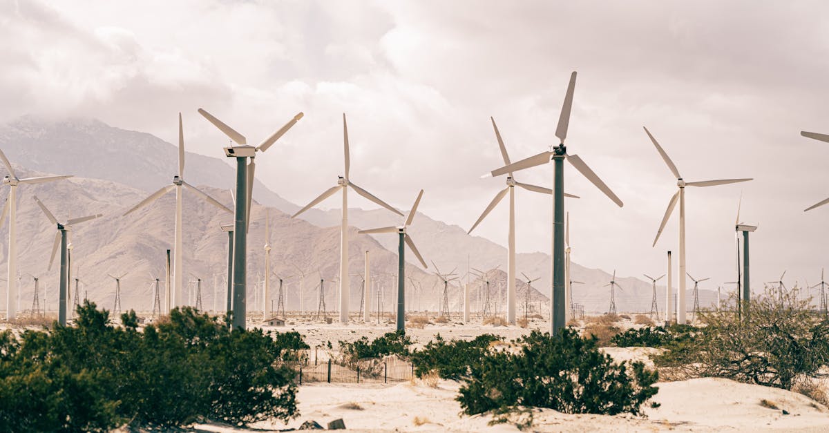 découvrez les enjeux du développement durable pour un avenir respectueux de l'environnement. explorez des solutions innovantes et des pratiques responsables pour préserver notre planète tout en répondant aux besoins des générations présentes et futures.