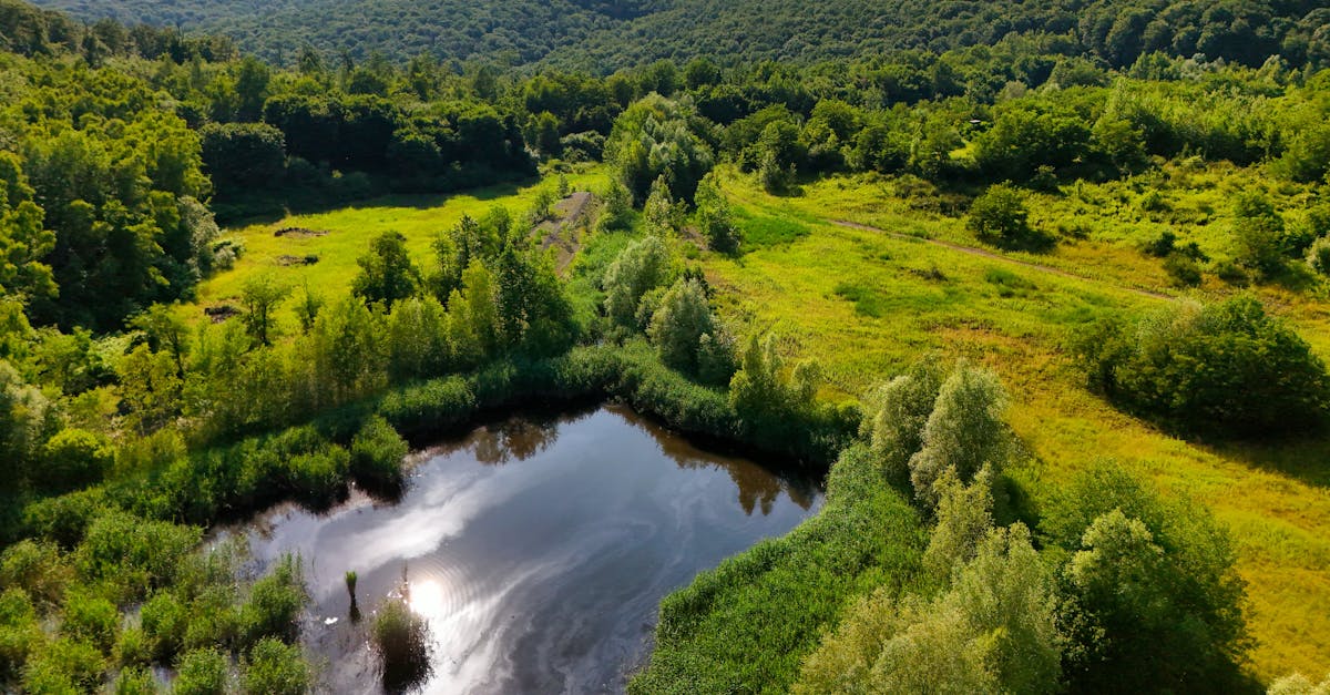 découvrez l'importance des réglementations environnementales pour protéger notre planète, promouvoir le développement durable et garantir un avenir sain pour les générations futures. informez-vous sur les lois, normes et initiatives qui encadrent les activités industrielles et individuelles.