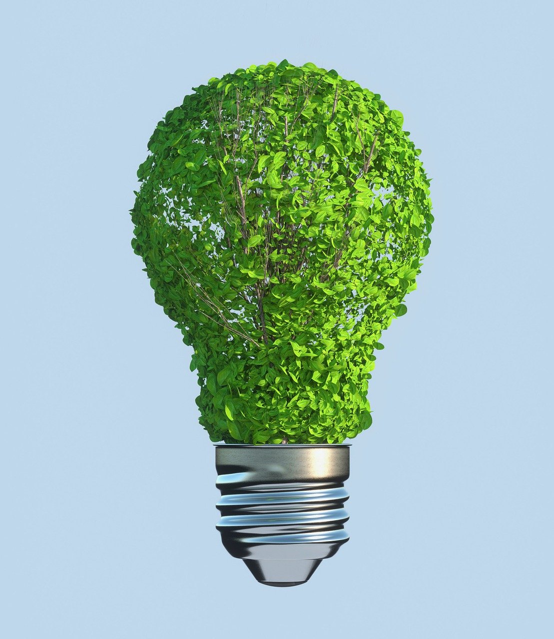 découvrez les principes de la durabilité et comment ils peuvent transformer notre manière de vivre, de consommer et de préserver notre planète pour les générations futures.