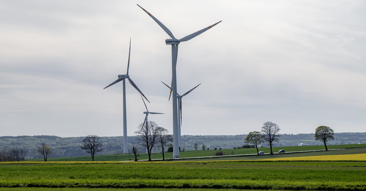découvrez comment adopter une transition durable pour un avenir respectueux de l’environnement. conseils, solutions et actualités sur la transition écologique et les pratiques responsables.