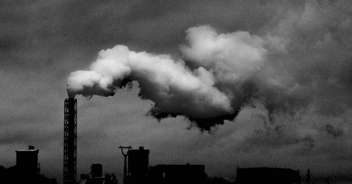 découvrez l'impact environnemental des activités humaines et l'importance d'adopter des pratiques durables pour préserver notre planète. informez-vous sur les enjeux écologiques et les solutions pour réduire notre empreinte carbone.