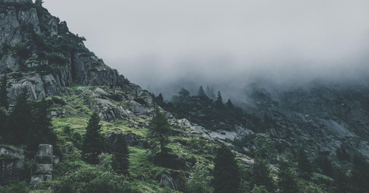 découvrez comment les partenariats écologiques favorisent la durabilité et la protection de l'environnement. explorez des collaborations innovantes entre entreprises, ong et gouvernements pour construire un avenir plus vert.