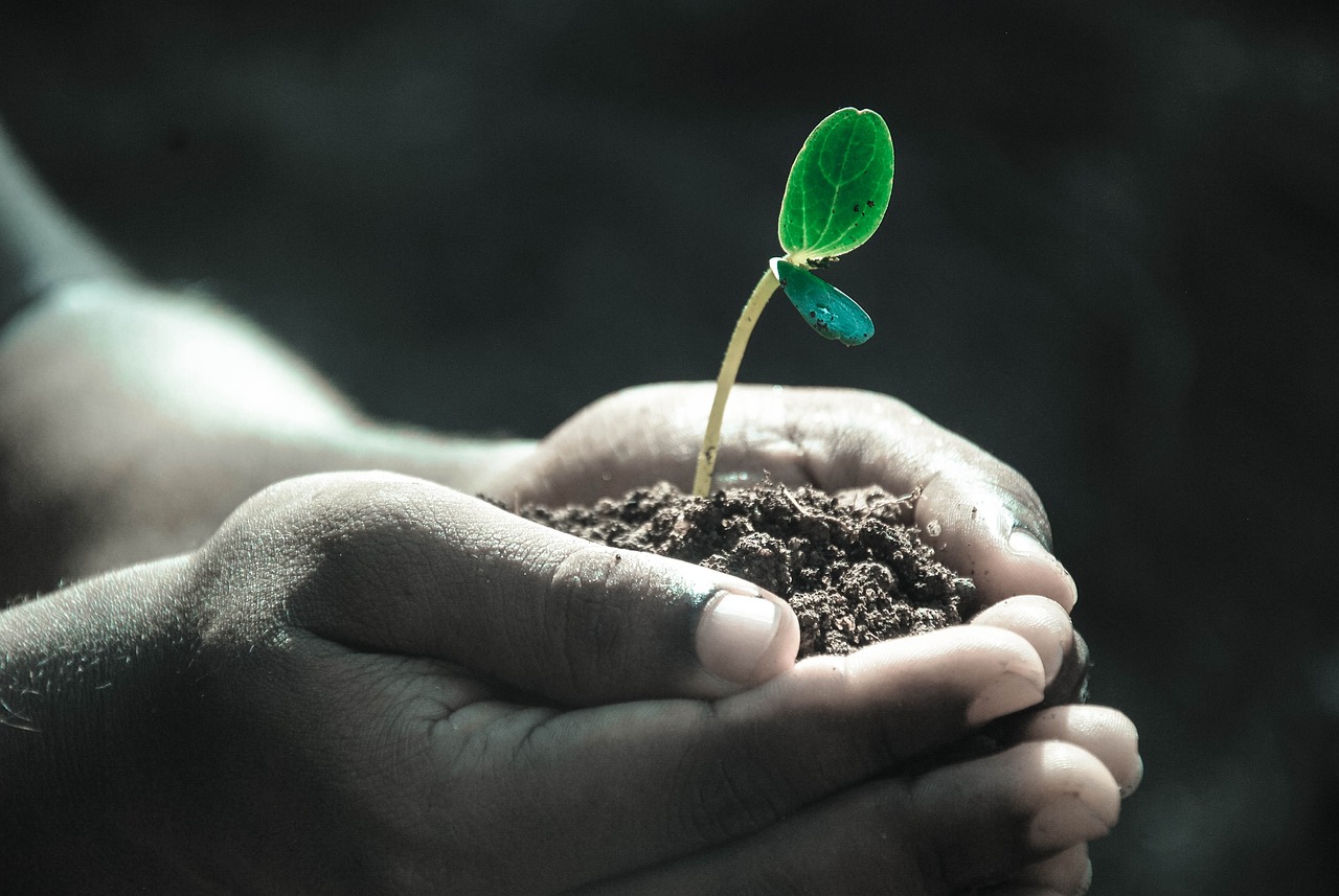 découvrez l'analyse du cycle de vie, une méthode essentielle pour évaluer l'impact environnemental des produits et services. apprenez comment cette approche vous aide à minimiser votre empreinte écologique tout en favorisant une durabilité accrue.
