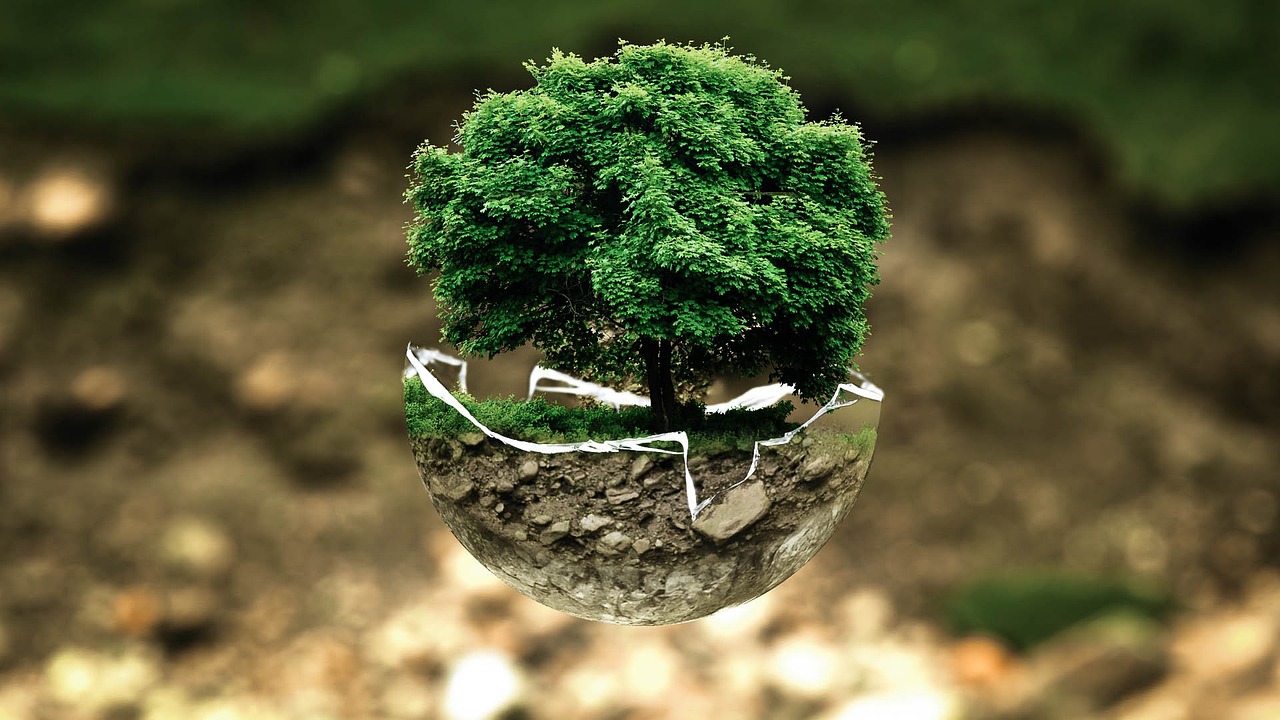 découvrez des solutions innovantes pour un affichage écologique, alliant esthétisme et respect de l'environnement. informez et inspirez avec des affichages durables, adaptés à vos besoins et sensibilisant à la protection de la planète.
