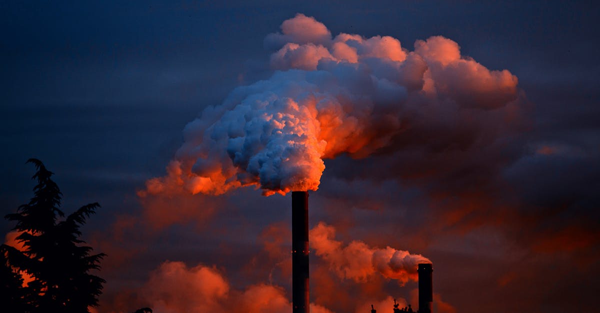 découvrez l'impact environnemental des activités humaines et les solutions durables pour protéger notre planète. informez-vous sur les enjeux écologiques et engagez-vous pour un avenir plus vert.