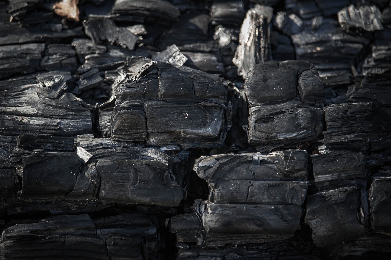 découvrez l'empreinte carbone, un indicateur essentiel pour mesurer l'impact de nos activités sur l'environnement. apprenez comment évaluer et réduire votre empreinte afin de contribuer à un avenir durable.