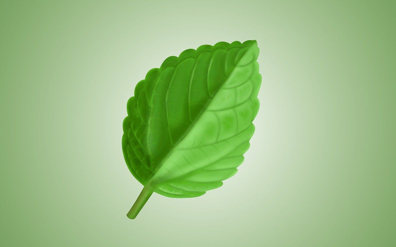 découvrez nos produits de nettoyage écologiques, efficaces et respectueux de l'environnement pour un intérieur sain et durable.