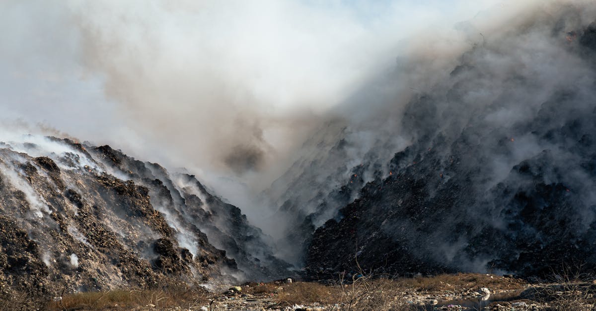 découvrez des solutions efficaces pour la réduction des émissions de co2, avec des conseils pratiques et des stratégies pour protéger l'environnement et lutter contre le changement climatique.