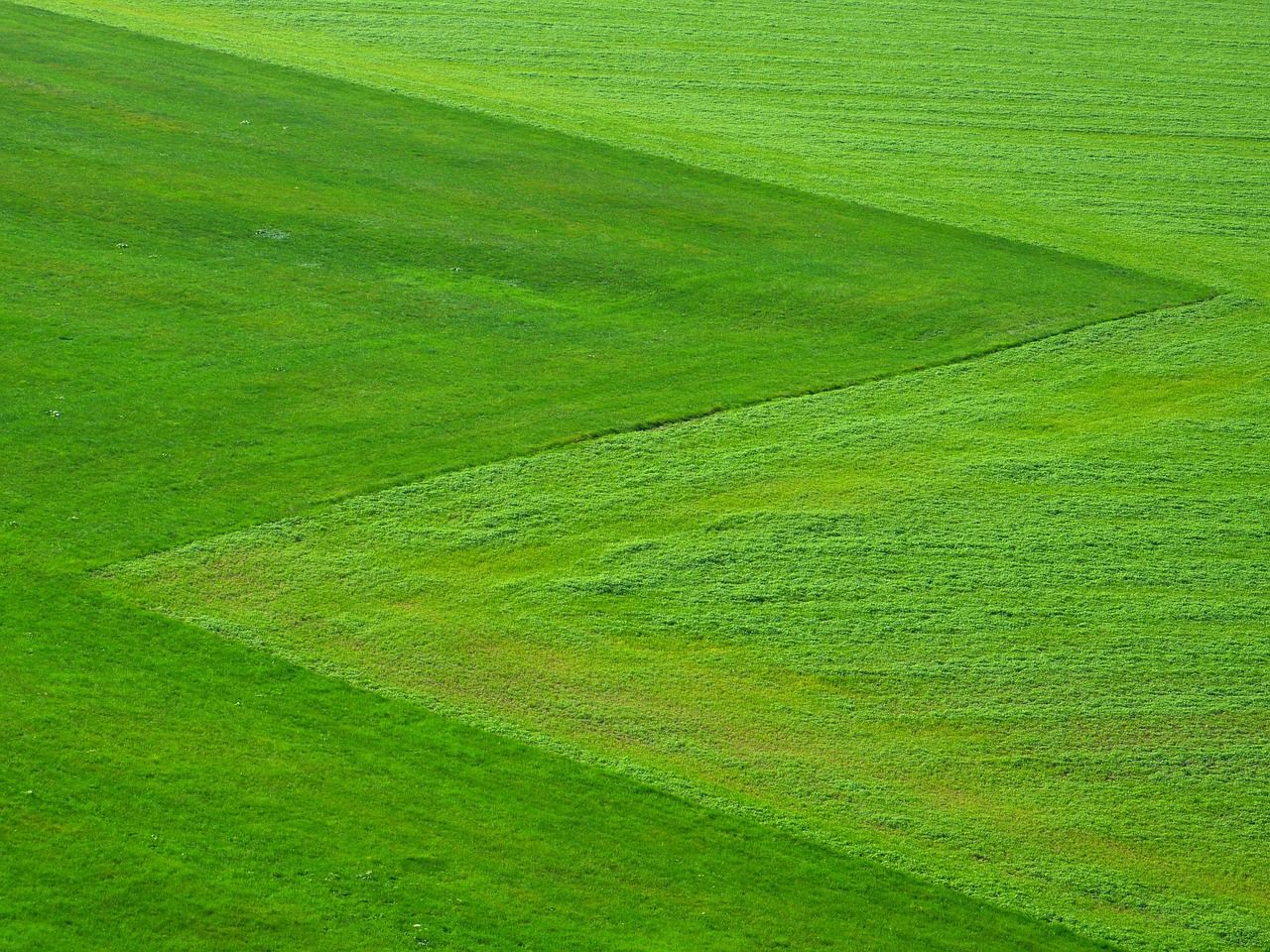 découvrez les initiatives écologiques innovantes qui transforment notre monde. explorez comment ces actions durables contribuent à la préservation de l'environnement et à la promotion d'un avenir plus vert.