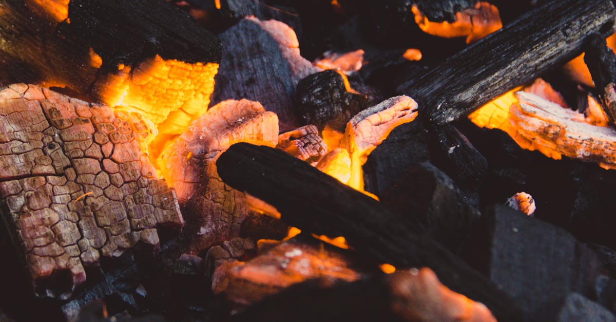 découvrez comment compenser votre empreinte carbone grâce à des solutions durables et accessibles. adoptez des pratiques responsables et engagez-vous pour un avenir plus vert en investissant dans des projets d'énergie renouvelable et de reforestation.