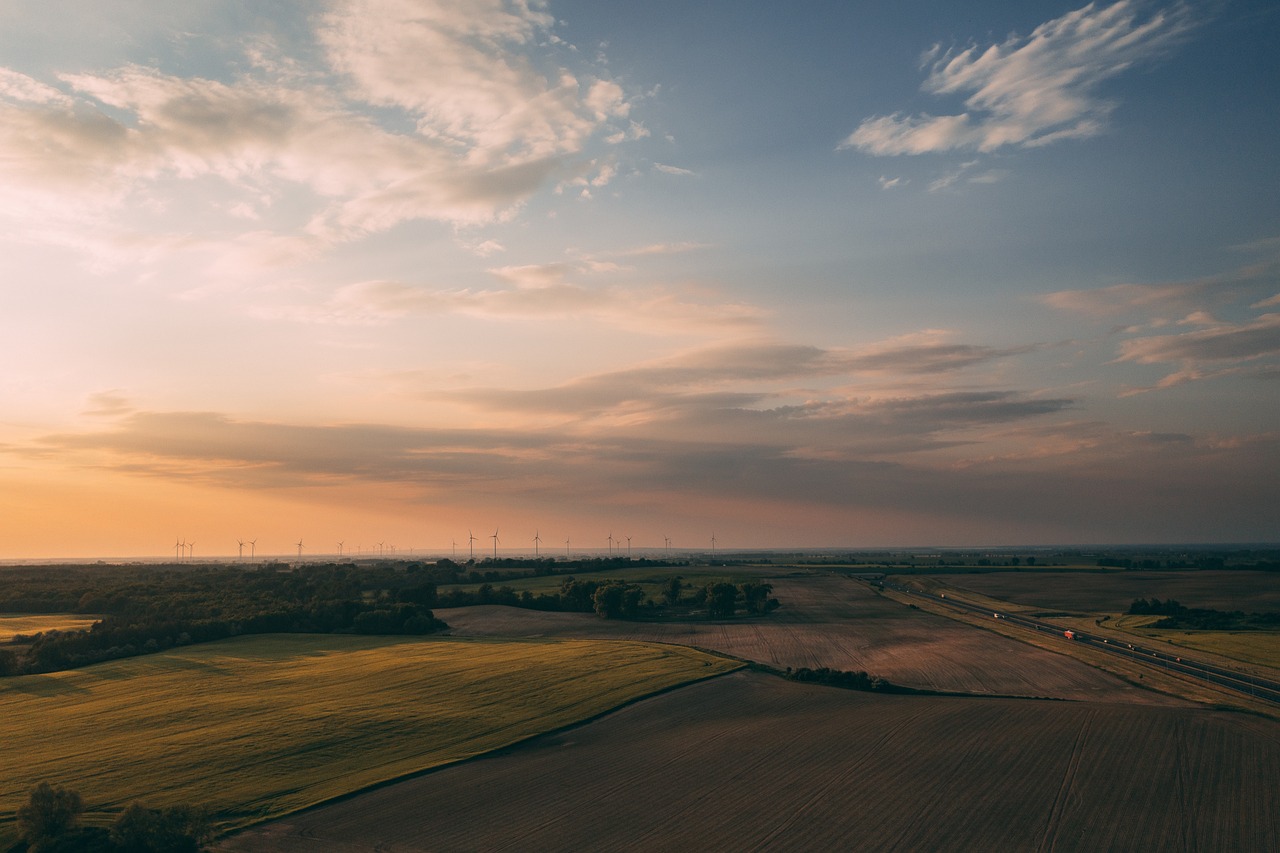 Agir pour la Planète : 4 Initiatives Pratiques pour Sensibiliser les Employés à l’Environnement en Entreprise