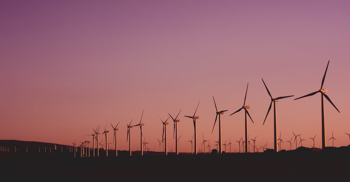 Stratégie environnementale : les clés pour un développement durable
