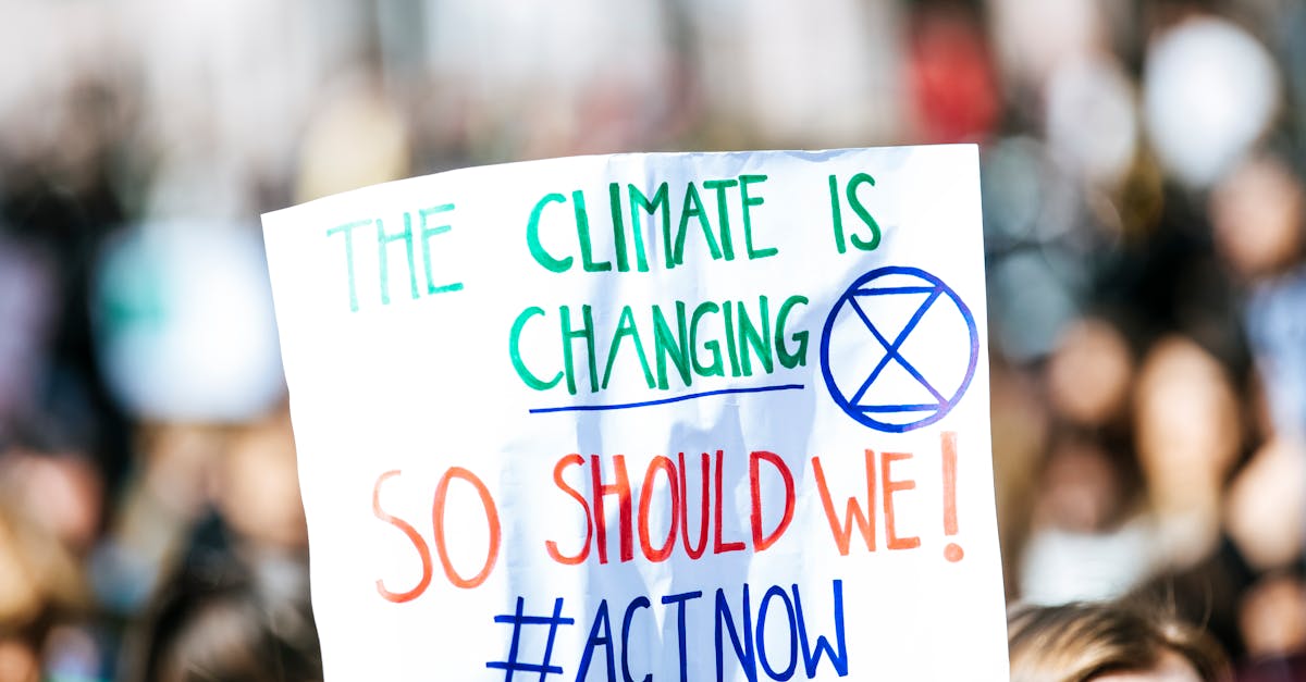 Lutte contre le réchauffement climatique : stratégies et actions à entreprendre