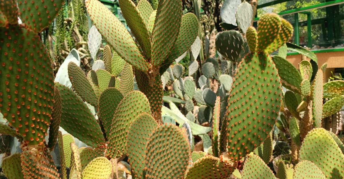 Adaptation climatique : enjeux et stratégies pour un avenir durable