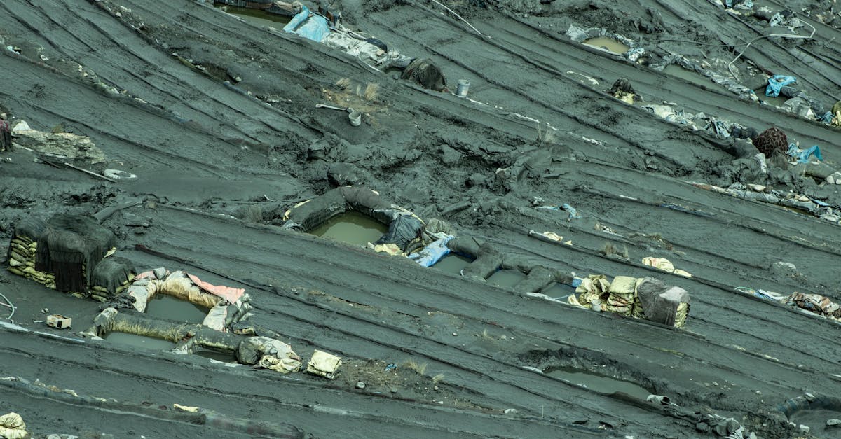 Pollution des sols : comprendre ses impacts sur l’environnement et la santé