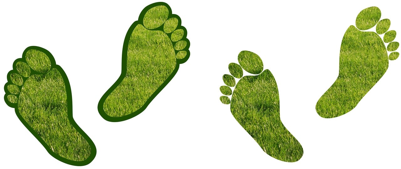 Agroalimentaire : Évaluation de l’empreinte carbone et pistes de solutions durable.