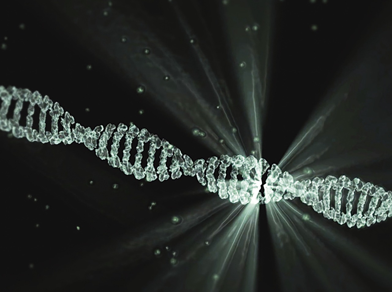 Le projet CSRD : un atout pour renforcer notre stratégie de responsabilité sociétale