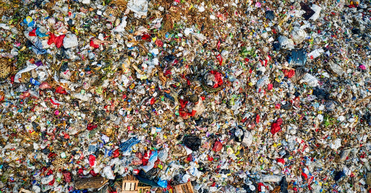 Empreinte écologique : comment réduire son impact sur la planète