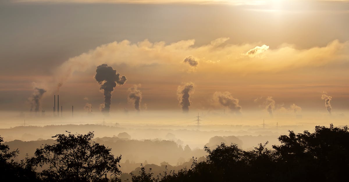 Carbone et empreinte écologique : comprendre l’impact de notre mode de vie
