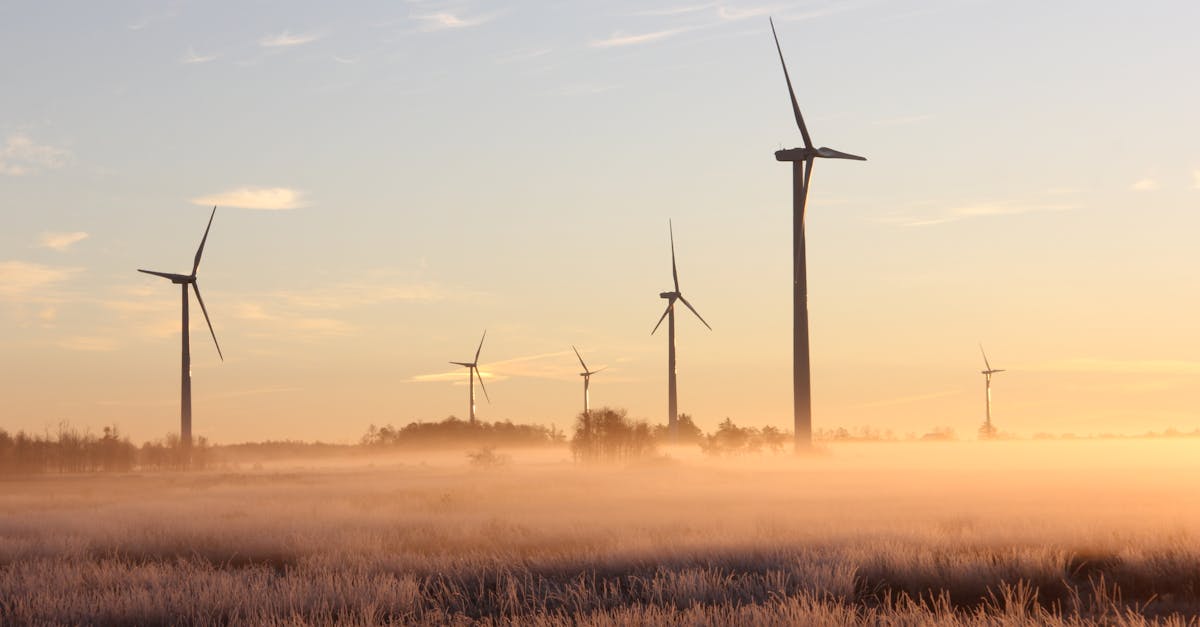 Électricité durable : comprendre ses enjeux et ses avantages pour l’avenir
