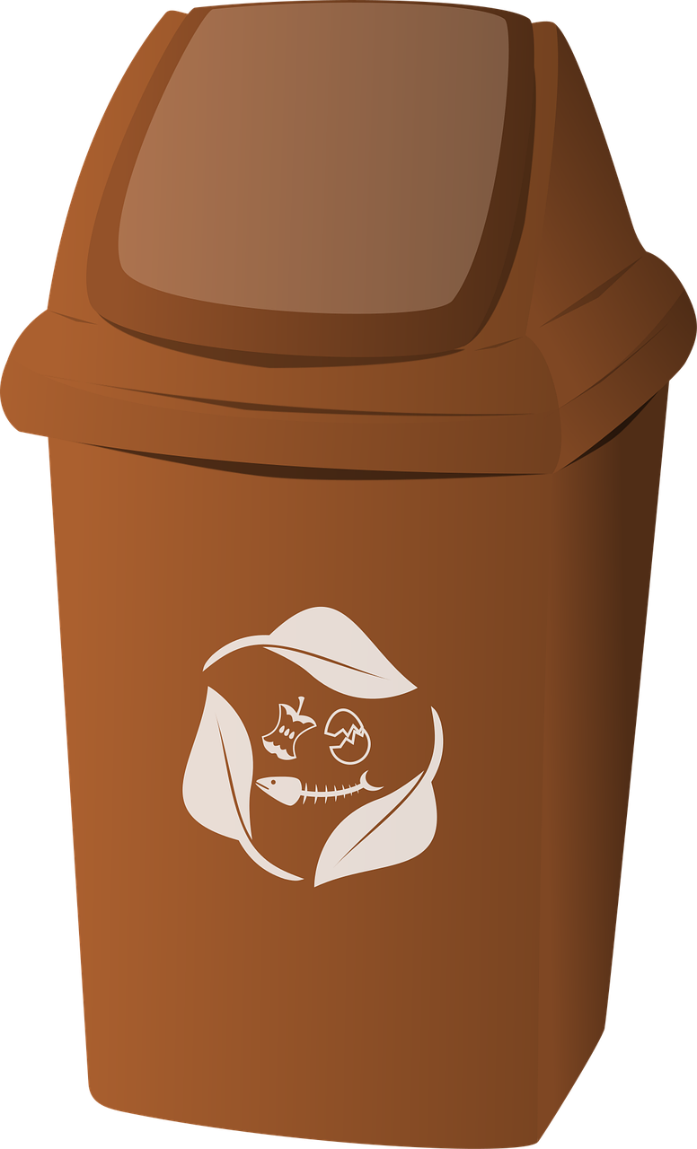Compostage appartement : conseils pratiques pour transformer vos déchets organiques en or vert chez vous