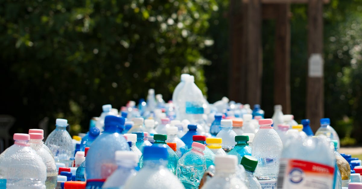 Stratégie zéro déchet : comment réduire efficacement vos déchets au quotidien