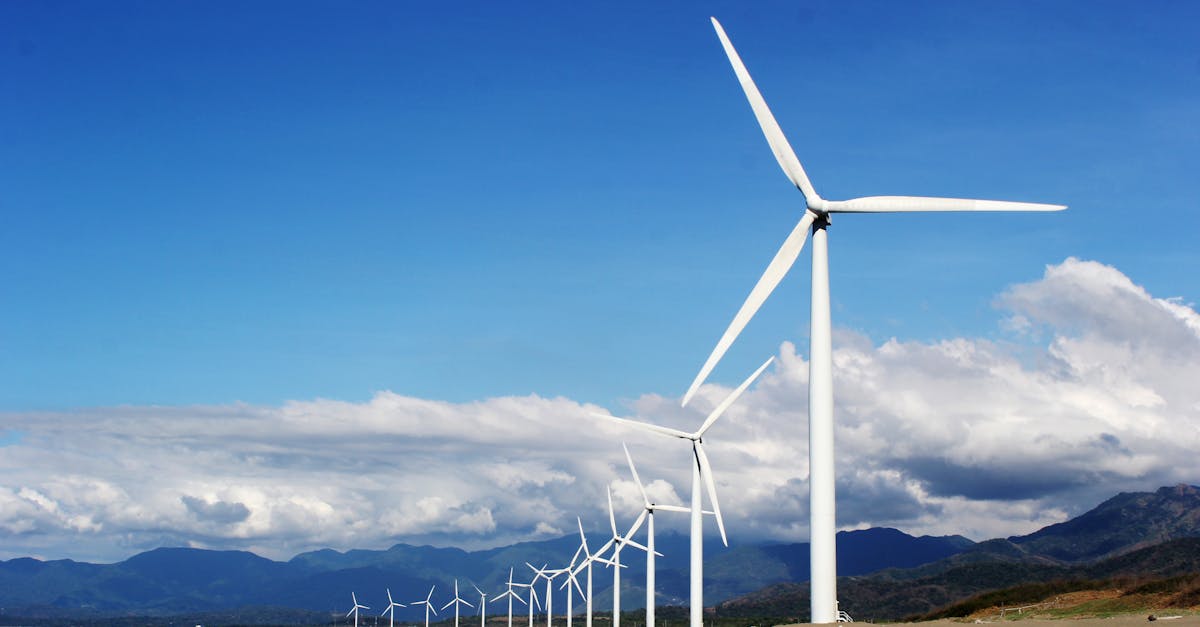 Énergie renouvelable : les avantages et les défis de cette transition écologique