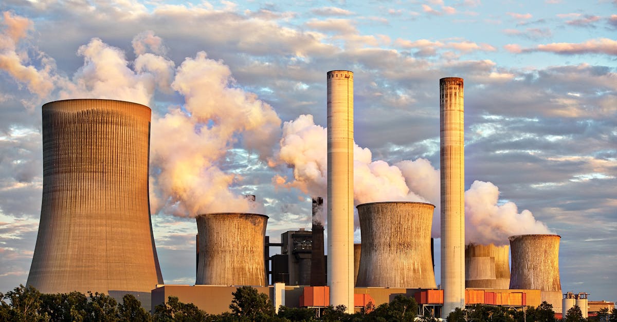 Écologie : comprendre les enjeux environnementaux actuels
