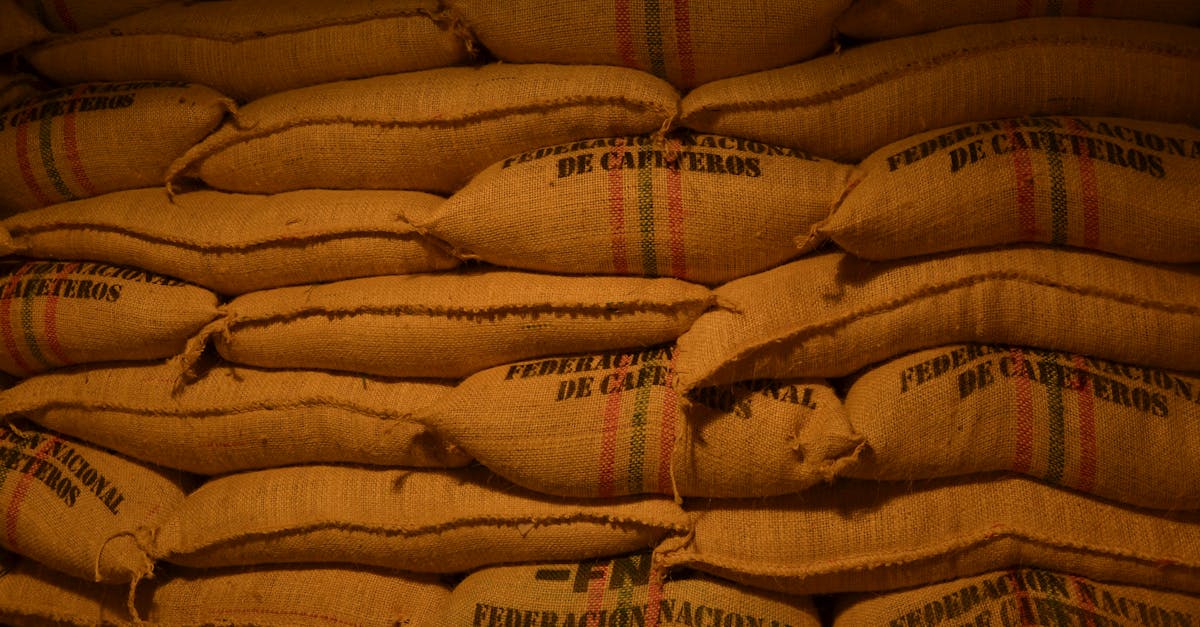 Économie des ressources : comment optimiser notre consommation pour un avenir durable