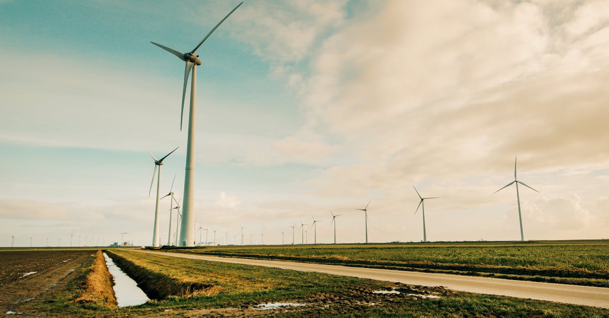 Énergie propre : les avantages et les défis de la transition énergétique