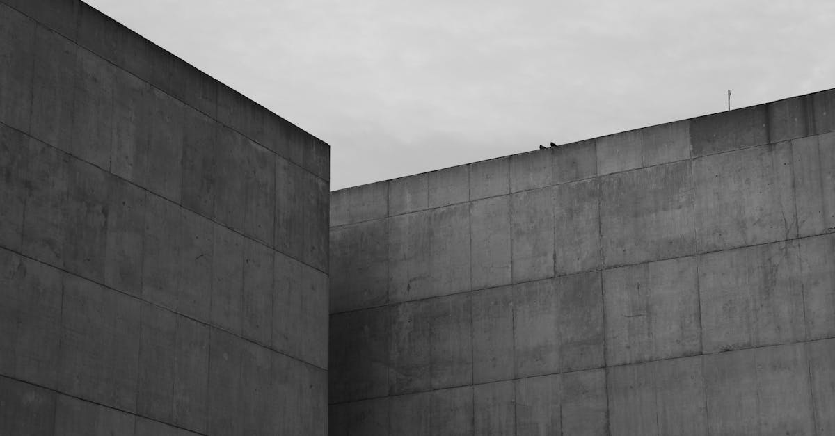 Simplicité volontaire : vivre mieux avec moins pour un quotidien apaisé