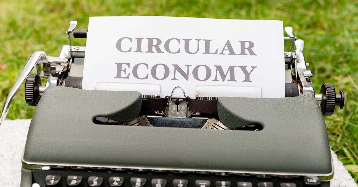 Valorisation des déchets : enjeux et stratégies pour un avenir durable