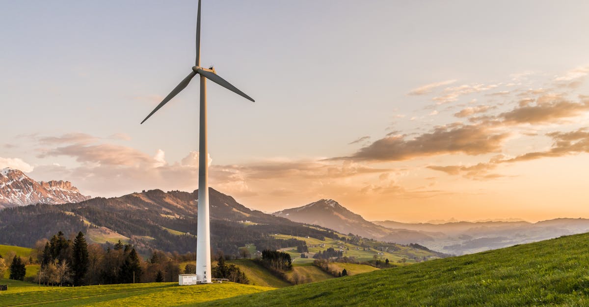 Sustainable development : comprendre ses enjeux et ses opportunités