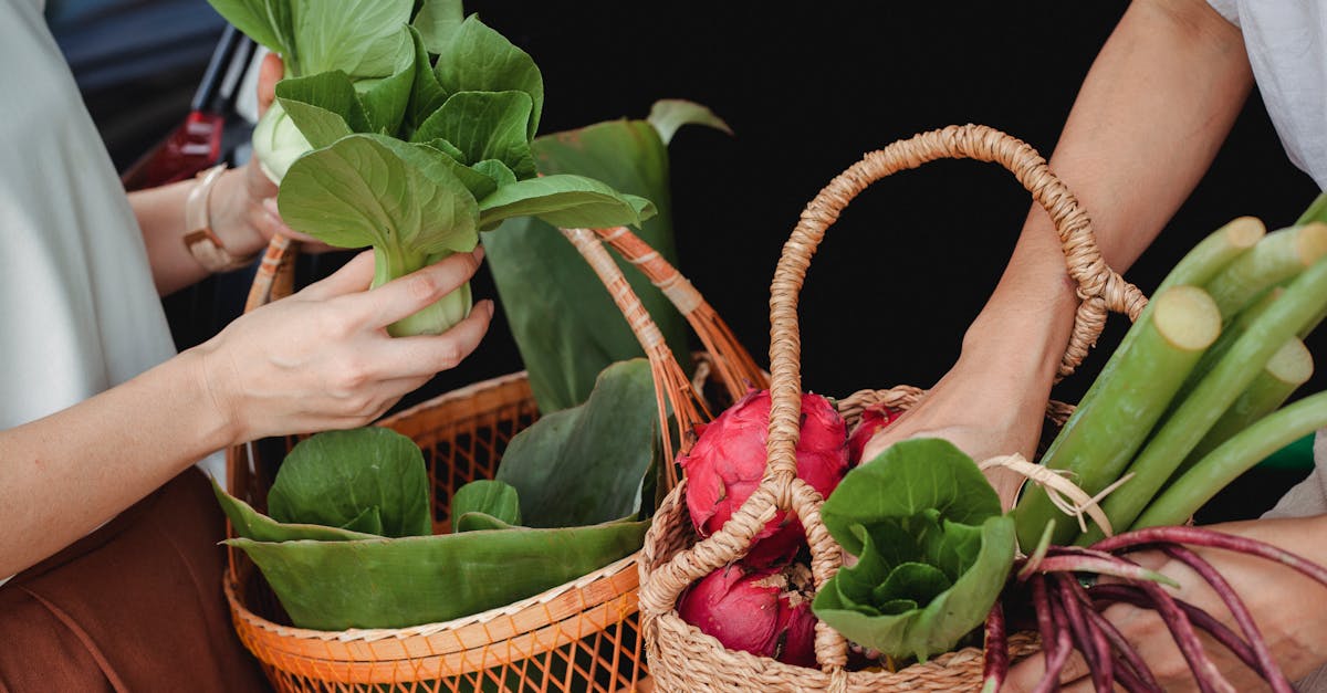 Consommation durable : comment adopter des pratiques respectueuses de l’environnement