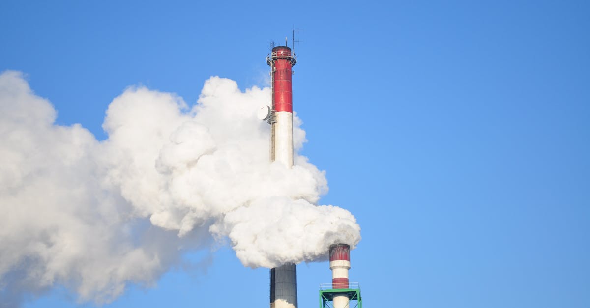 Impact carbone : comment réduire son empreinte écologique au quotidien
