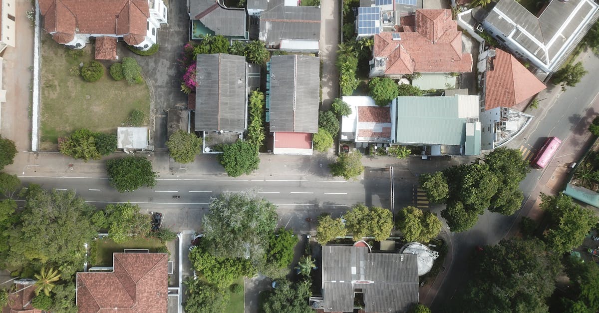 Habitat durable : 10 conseils pour construire une maison éco-responsable