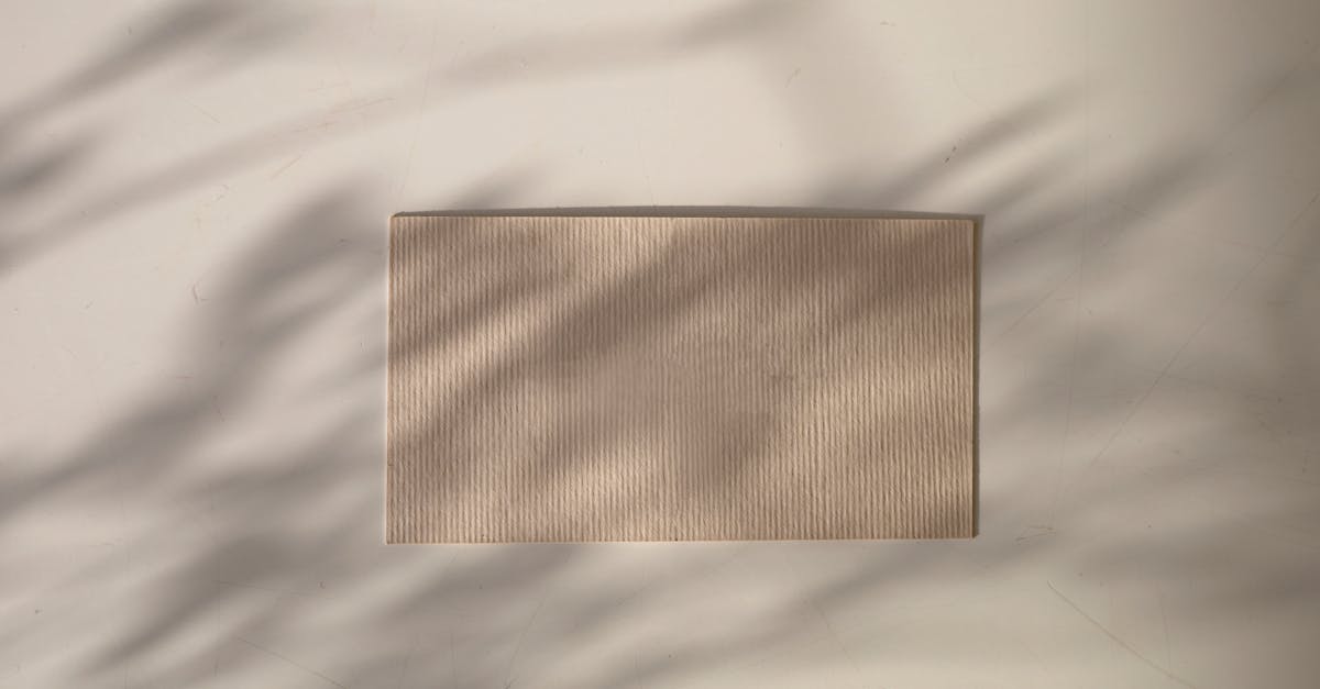 Labels environnementaux : comprendre leur importance pour un avenir durable