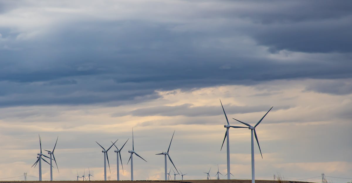 Ressources naturelles : un aperçu des défis et des opportunités environnementales