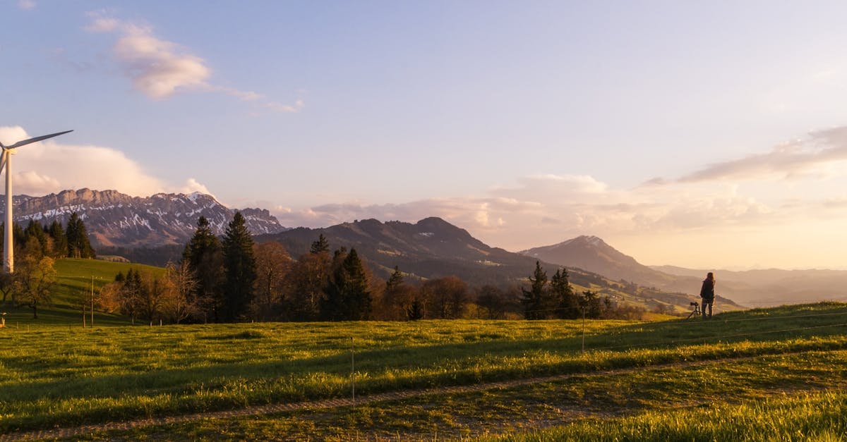 Protection de l’environnement : des gestes simples pour un avenir durable