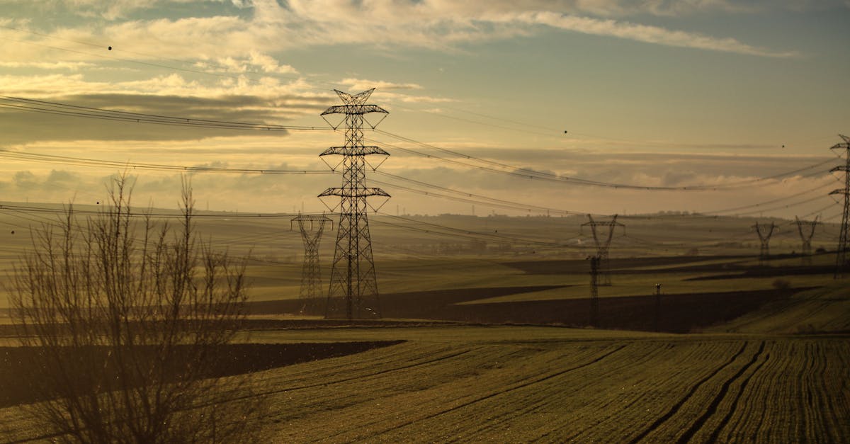 Réseaux d’énergies renouvelables : l’avenir de la distribution énergétique