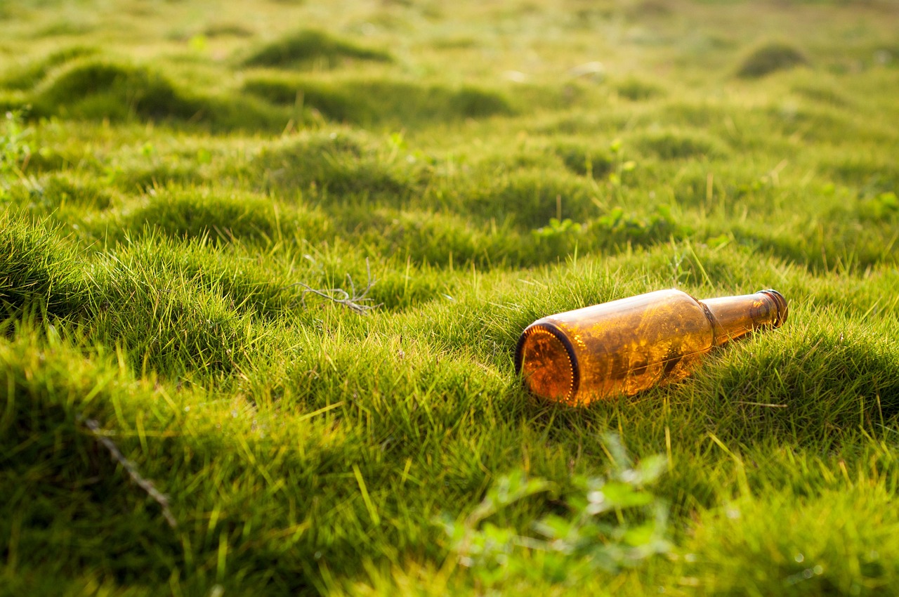 Guide complet sur l’affichage environnemental des aliments