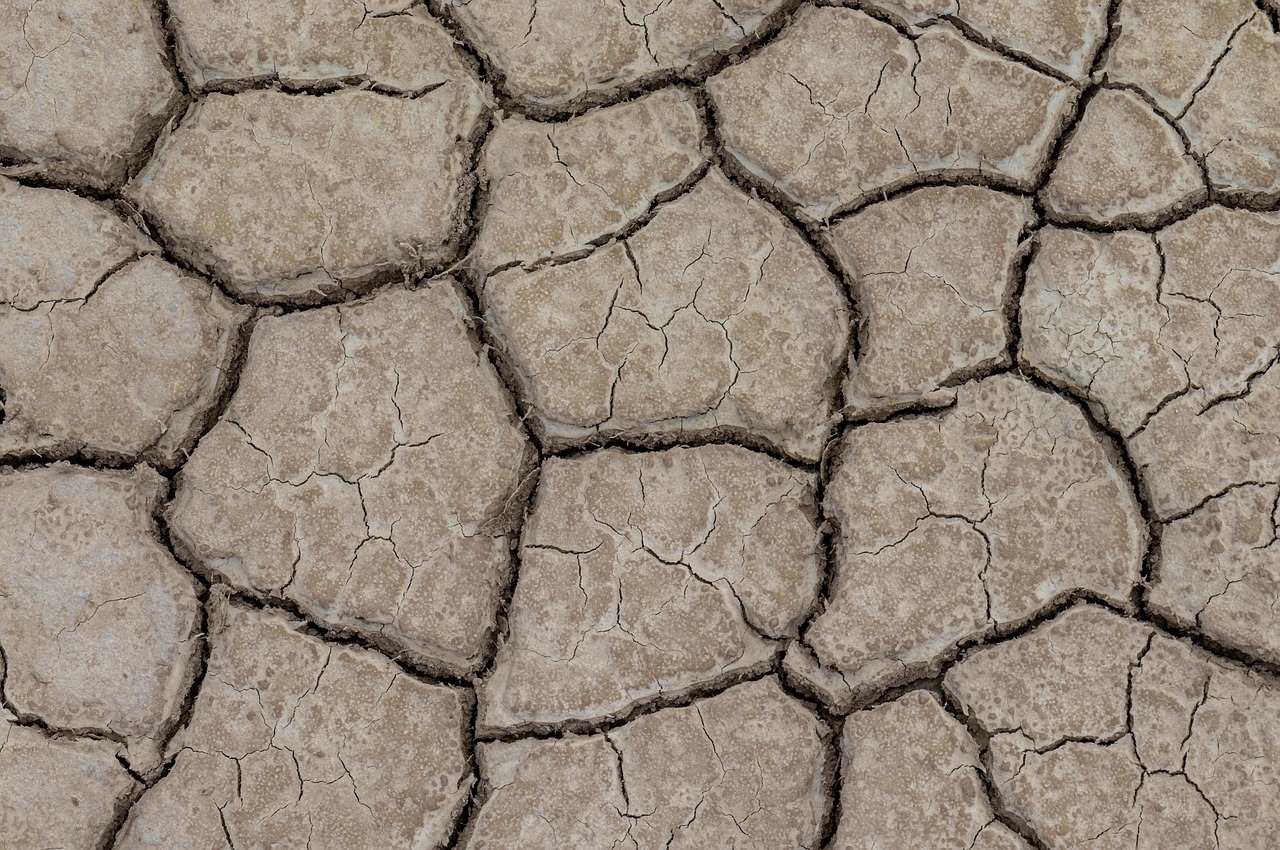 Plan climat : comprendre les enjeux et les actions nécessaires pour un avenir durable