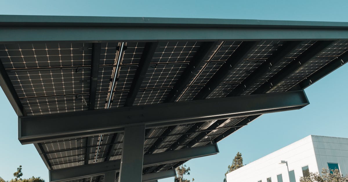 Innovation sociale et environnementale : comment les nouvelles idées améliorent notre planète
