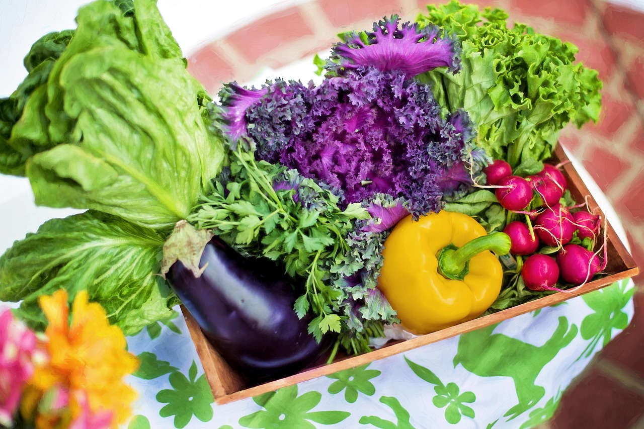 Jardinage bio balcon : conseils essentiels pour cultiver sainement vos plantes en ville