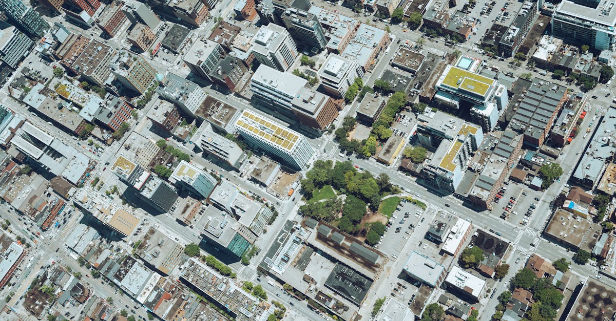 Infrastructures vertes : un atout pour des villes durables et résilientes
