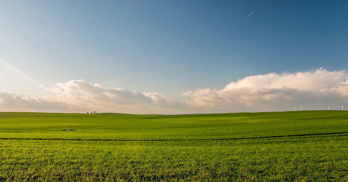 Énergie durable : les solutions innovantes pour un avenir plus vert