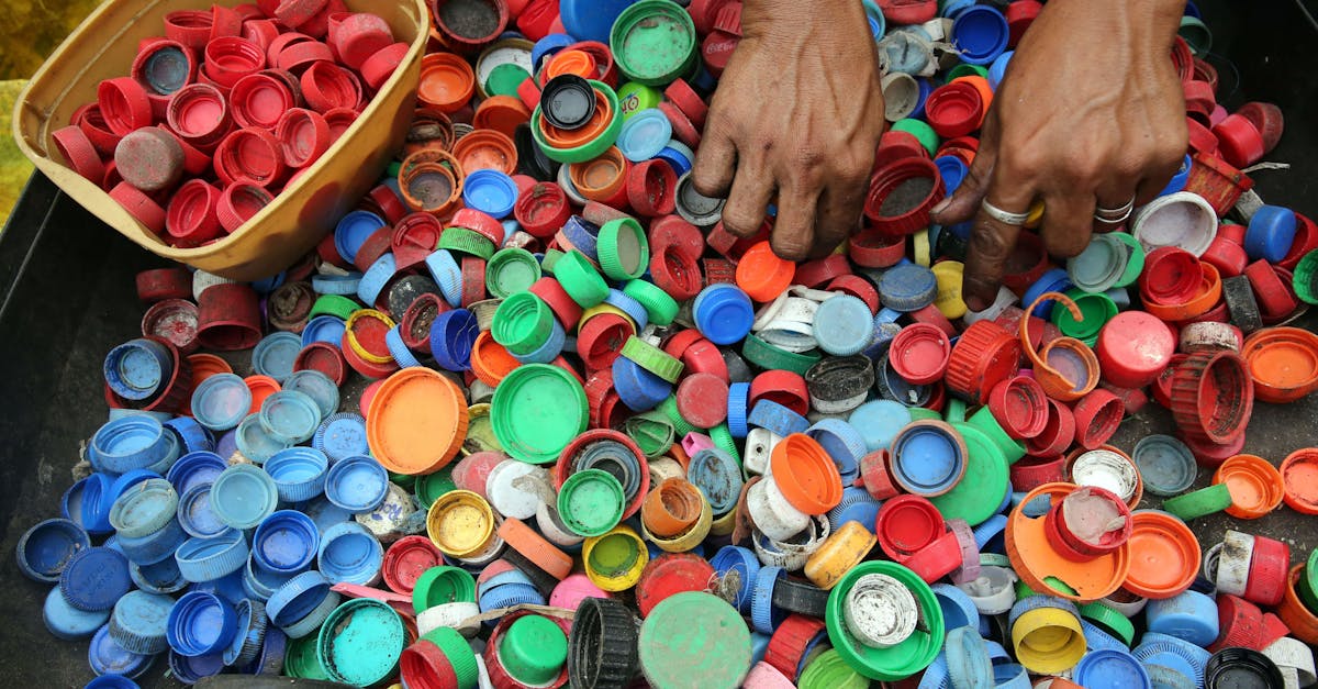 Économie circulaire : vers un modèle de durabilité et d’innovation