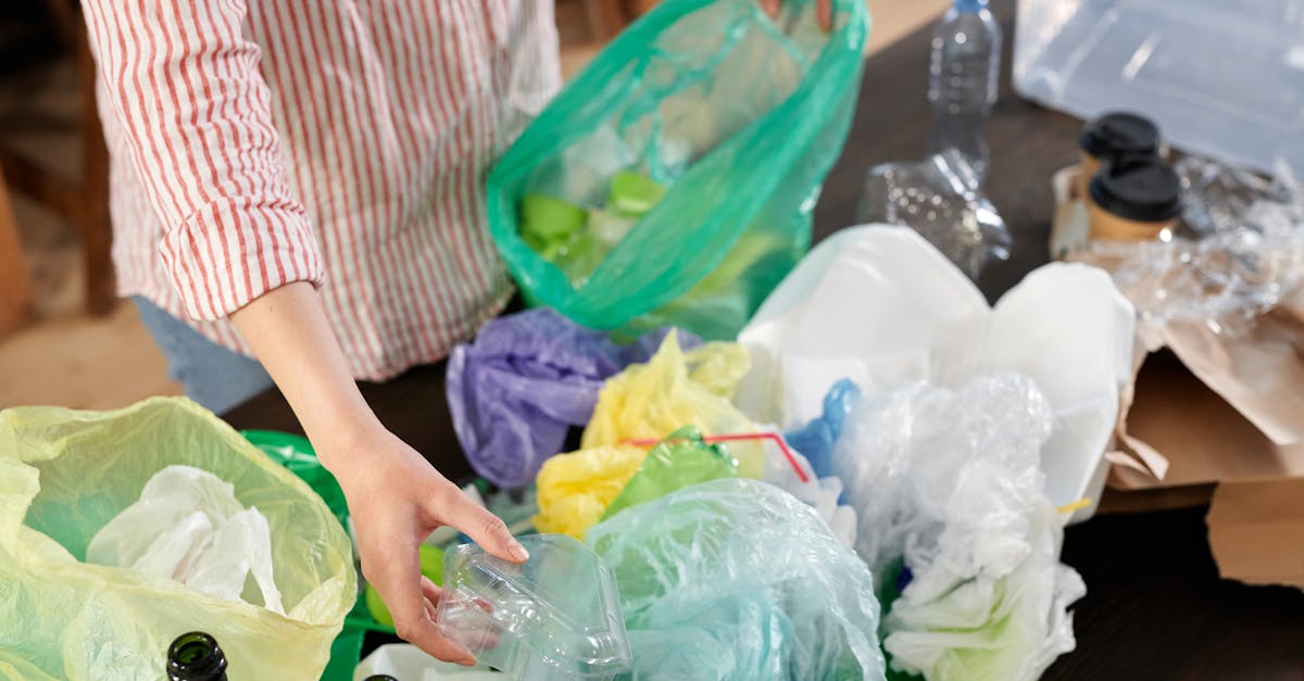 Maintenance écologique : comment adopter des pratiques durables pour préserver l’environnement